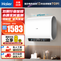 海尔(Haier)[小红花BK3MINI]60升双胆扁桶电热水器 鲜活水 国家补贴20% 3300W变频速热家用