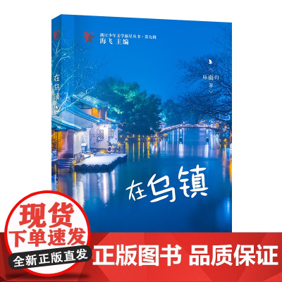 在乌镇(浙江少年文学新星丛书·第九辑)
