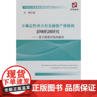 不确定性冲击对金融资产价格的影响机制研究;基于股票市场的视角