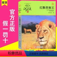 [正版]红飘带狮王 沈石溪动物小说单本升级版 品藏书系列全集套9-12-15岁四五六年级初中小学生课外阅读书籍儿童长篇
