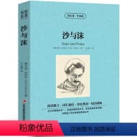 [中英互译]沙与沫 [正版]巴黎圣母院中英文双语书籍名著读物英汉对照小说全套阅读 巴黎圣母院原著 读名著学英语 高初中生
