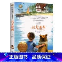 灵犬莱西 [正版]灵犬莱西 课外书必读经典书目图书 老师名著国际大奖 儿童文学美绘典藏版 中小学生课外阅读书籍 书籍