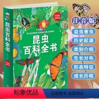 [正版]精装拼音版 昆虫百科全书 3-6-8岁儿童科普百科全书一二年级小学生课外读物百科书 昆虫甲虫百科 少儿注音版十