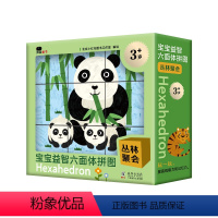 六面体拼图—丛林聚会 [正版]拼图益智游戏宝宝儿童3-6岁以上拼板平面恐龙动物交通工具早教专注力训练小手指灵活度幼儿园益