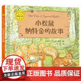 国际大奖绘本小松鼠纳特金的故事精装 3–4-5-6周岁阅读幼儿园大班经典童话故事书绘本图画故事书籍儿童睡前读物学前早教前
