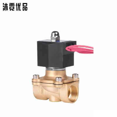 沐霓优品 电磁阀 户外防水 DN20 6分DC24V 个