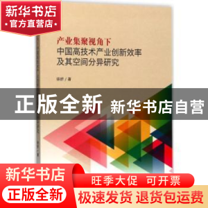 正版 产业集聚视角下中国高技术产业创新效率及其空间分异研究 徐