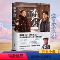 [正版]南来北往 小说实体书高满堂 白敬亭丁勇岱金晨主演电视剧同名小说全集迷雾深渊探寻真相悬案追凶四十年变革见证时代列