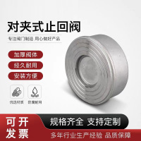 中锦科技 不锈钢对夹止回阀DN200(304材质)台