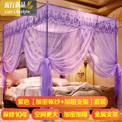新款网红加密加厚宫廷蚊帐1.5/1.8m2米床2.2双人家用不锈钢支架 三维工匠