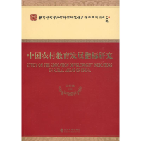 正版新书]中国农村教育发展指标研究袁桂林 等著9787505875920