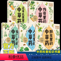 神奇的中草药系列[全5册] [正版]神奇的中草药 全5册 家门外的中草药 厨房里的中草药 人名里的的中草药 传奇里的中草