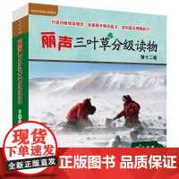 [外研社]丽声三叶草分级读物第十二级(16册)