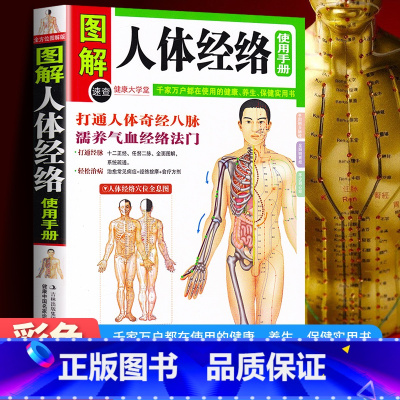 [正版] 图解人体经络使用手册 穴位按摩中医养生人体经络书籍 家庭中医保健养生书籍 中医养生经络使用手册 经络按摩百病
