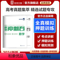 新高考地区 数学 新高考[2024版] [正版]2024新版 高考模拟冲刺卷 语文数学英语 A仿真模拟卷+B信息押题卷