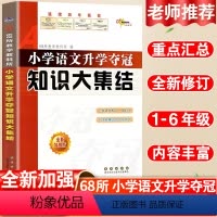 语文 小学通用 [正版]小学语文升学夺冠知识大集结全套人教版小升初名校冲刺总复习六年级下册必刷题68所名校专项训练小学毕