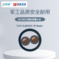 秦源牌 YJV-0.6/1KV-2*4mm² 铜芯低压电力电缆 元/米 定制商品 联系客服