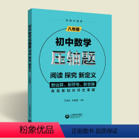 [正版]初中数学压轴题阅读探究新定义八年级上下册通用版数学精讲解题技巧与方法初中数学思维训练课外辅导培优尖子生资料上海