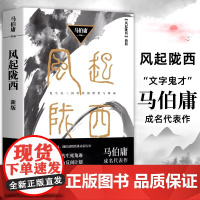 风起陇西 马伯庸成名代表作2021版 陈坤白宇郭京飞Angelababy等主演电视剧原著小说 诸葛亮北伐期间三国时代秘密
