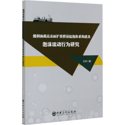 正版新书]缝洞油藏高表面扩张模量起泡体系构建及泡沫流动行为研