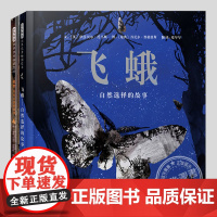 飞蛾自然选择的故事(正版2册精装)狐狸生生不息的故事,儿童绘本3三-4-5到6岁以上幼儿园大中小班孩子早教阅读睡前启蒙故