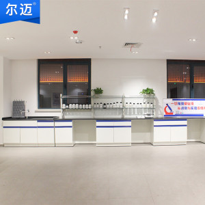 尔迈 实验台实验室工作台化验室操作台实验室全钢理化板台面钢木全钢实验台 钢木边台 每米