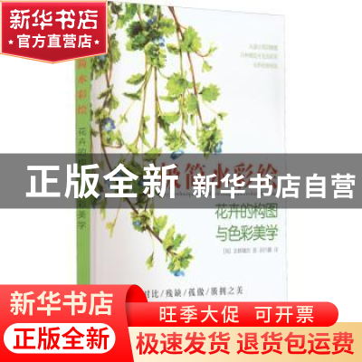 正版 极简水彩绘:花卉的构图与色彩美学 [韩]金修珊奈 电子工业出