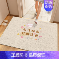 生活甜甜 100*200cm[韧性强 丝圈] [正版]丝圈入户门刮土防滑地垫家用进门门口耐脏地毯可自由裁剪DIY脚垫