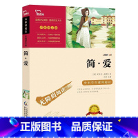 [无障碍阅读]简爱 [正版]世界名著全套海底两万里简爱钢铁是怎样炼成的爱的教育小王子汤姆索亚历险记老人与海昆虫记飘居里夫