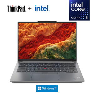 ThinkPad E14 1CCD AI 2024 经典商务本 14英寸笔记本电脑 英特尔酷睿Ultra 5 125H 16G 1T固态 锐炫Arc显卡 2.2K高色域 银