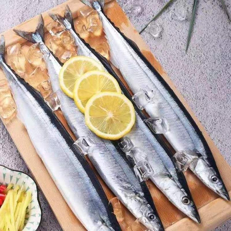 赛卡伊 秋刀鱼新鲜冷冻大号鲜活海捕深海鱼日式秋刀鱼烧烤食材整箱