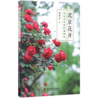 音像北京花开韩静华 著