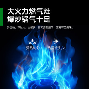 意黛斯(YIDAISI)商用燃气电磁猛火节能灶台 双头60型YDS-GSSD120Y液化气