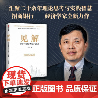 见解丁安华 著 商业财富