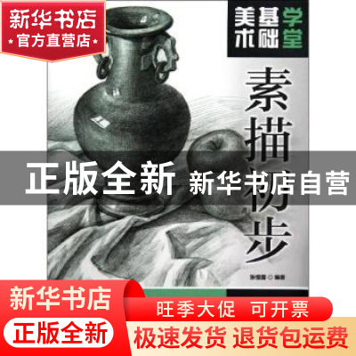 正版 美术基础学堂:素描初步 张恒国 人民邮电出版社 97871153018