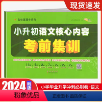 小升初 核心集训[语文] 小学升初中 [正版]2024小升初语文数学英语核心内容考前集训阅读能力100练小升初真题卷阅读