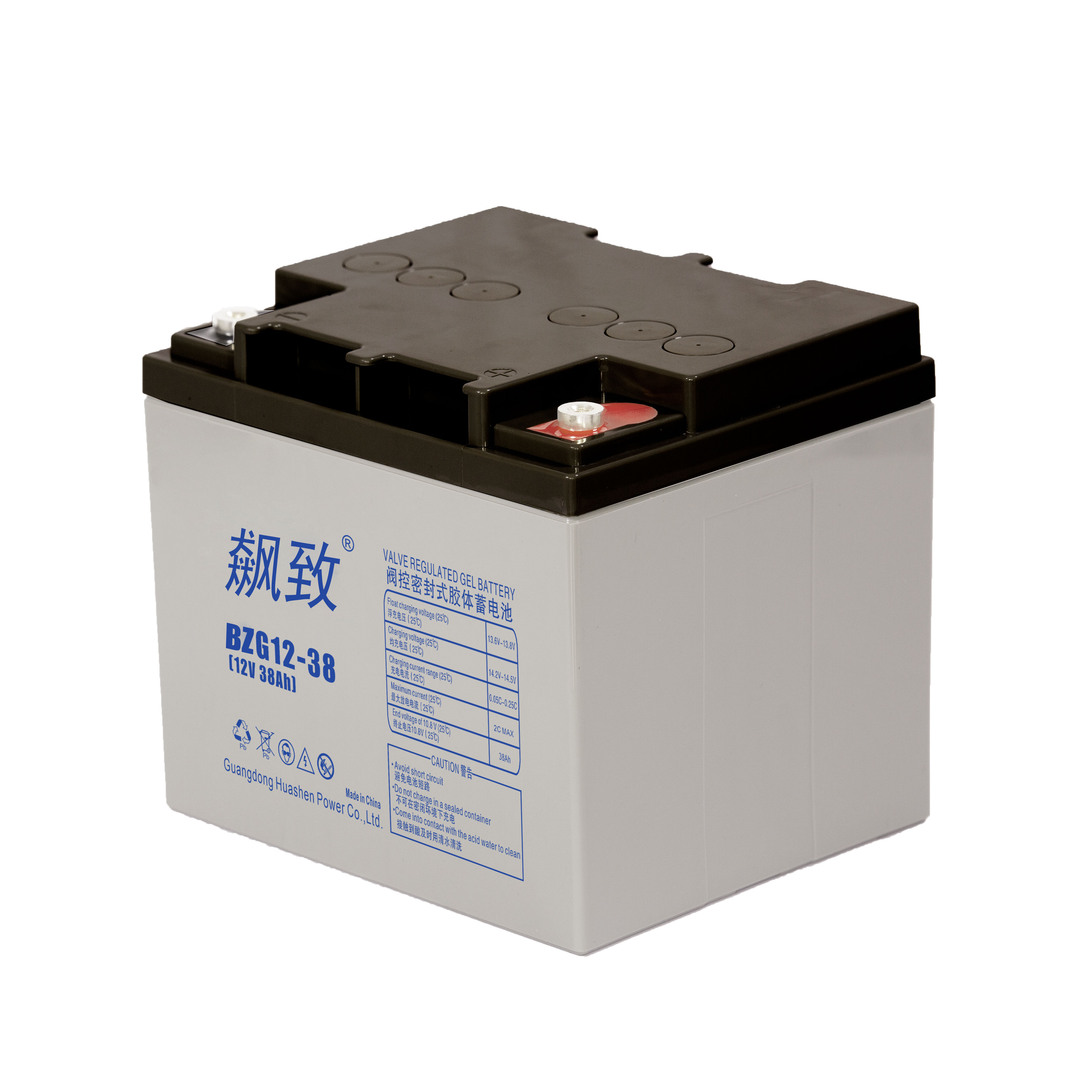 飙致 蓄电池 BZG12-38 支