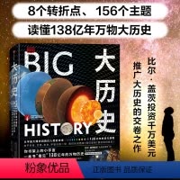 [正版] DK大历史 从宇宙大爆炸到我们人类的未来 大卫克里斯蒂安著 千幅信息图的视觉盛宴 一本书看见138亿年万物史