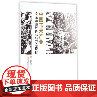 中国玉米产业安全动态评价与GTAP模拟