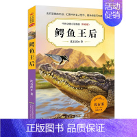 鳄鱼王后 [正版]中外动物小说精品升级版第六辑全套8册 沈石溪动物小说全套系列8-9-10-12-15岁儿童文学励志书籍