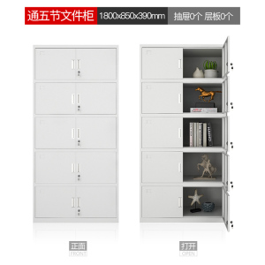 利特莱依钢制文件柜办公资料柜铁皮档案柜带锁储物柜财务凭证柜