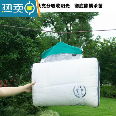 敬平晒枕头器宿舍家用阳台多功能防风晾晒抱枕玩偶网兜网袋枕芯衣架 晒枕头网蓝绿色白网 单层[不带 衣架]晒衣篮