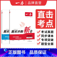 ⭐[推荐2本装]语文+数学 小学一年级 [正版]一本小学语文数学期末冲刺100分下册RJ版12345年级专项模拟真题冲刺