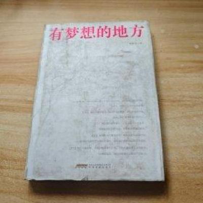 正版新书]有梦想的地方韩新东 著9787533669843