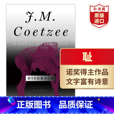 [正版]耻 英文原版 Disgrace JM库切 诺奖得主代表作 布克奖获奖作品 同名电影原著 南非 历史之耻 道德之