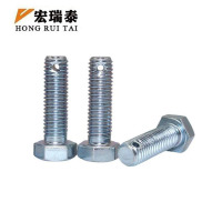 宏瑞泰 锌镍合金带孔螺栓 M20*105 个