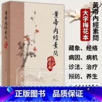 [正版]黄帝内经素问 大字梅花本 中医基础理论 临床实践 可供中医教学 科研及临床工作者阅读参考 人民卫生出版社 97