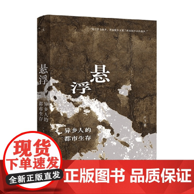 悬浮 异乡人的都市生存 严飞 著 社会科学