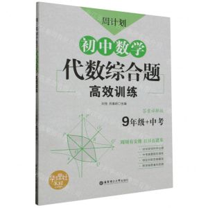 [N]初中数学代数综合题高效训练(9年级+中考答案详解版)/周计划-9787562860587
