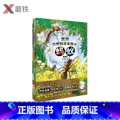 [正版]我的自然科学实践书(全4册青蛙蚂蚁蚕独角仙)从儿童的热爱小动物的天性出发,在饲养小动物的实践中满足孩子的好奇心